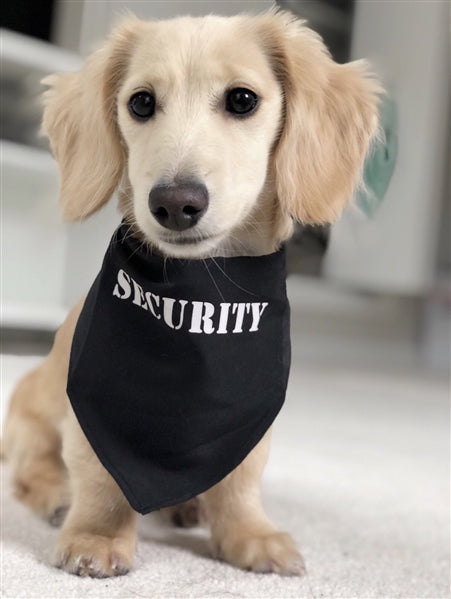 Security® Bandana