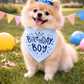 Birthday Boy Bandana