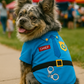 Officer Woof