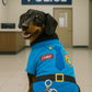 Officer Woof