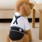 Sailor Dog