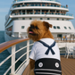 Sailor Dog