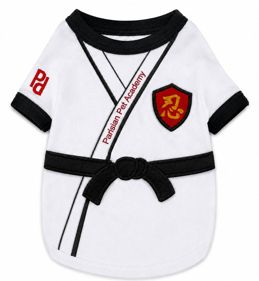 Karate Academy