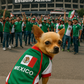 Team Mexico Jersey