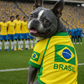 Team Brazil Jersey