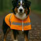 Raincoat - Orange