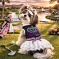Royal Crown Dress Navy