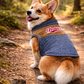 Denim Suede Jacket