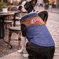 Denim Suede Jacket