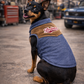 Denim Suede Jacket