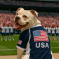 Team USA Jersey
