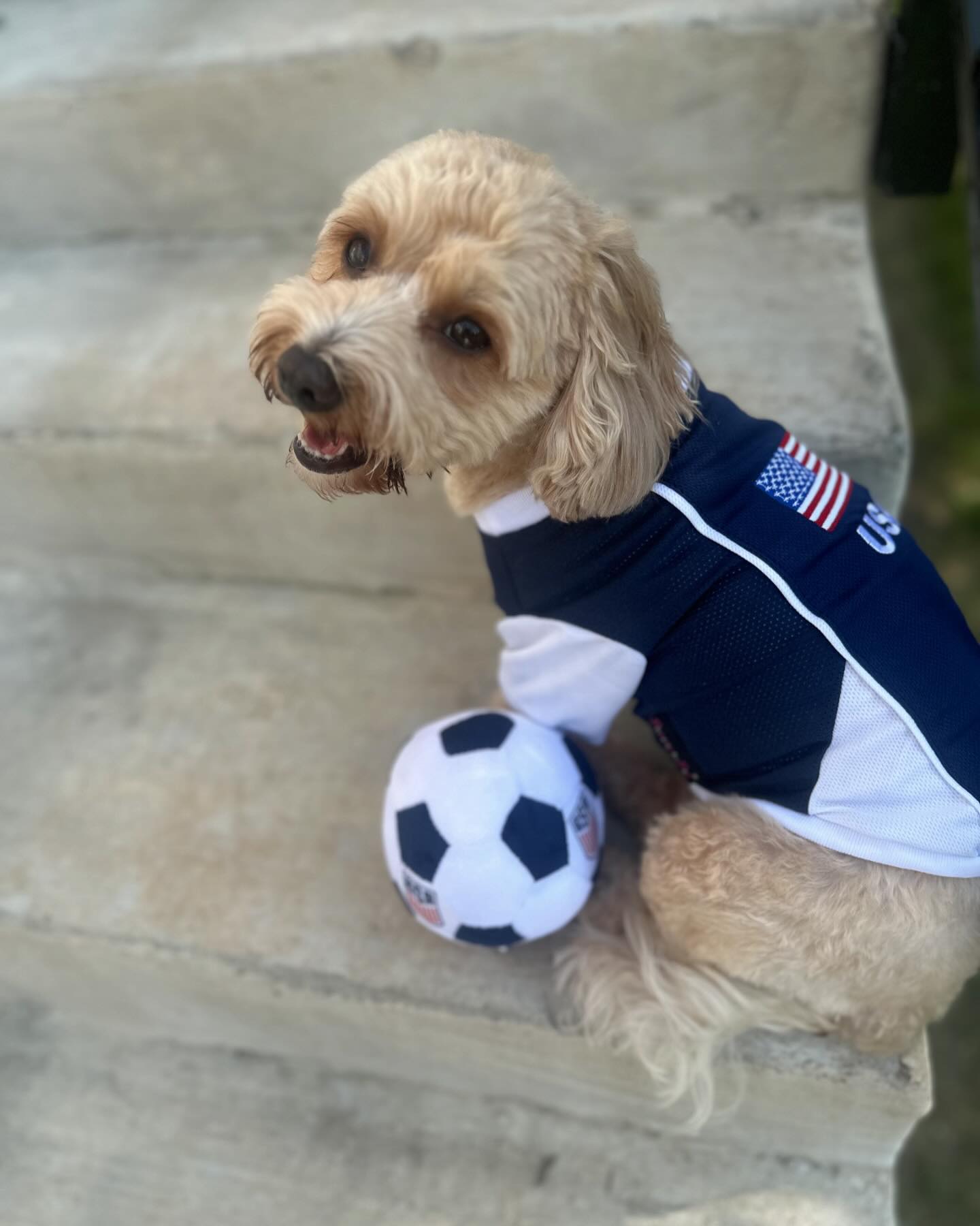 Team USA Jersey
