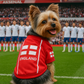 Team England Jersey