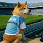 Team Argentina Jersey