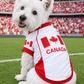 Team Canada Jersey