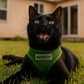 Freedom Harness - Green