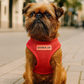 Freedom Harness - Red