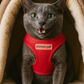 Freedom Harness - Red