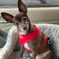 Freedom Harness - Red
