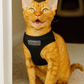 Freedom Harness - Black
