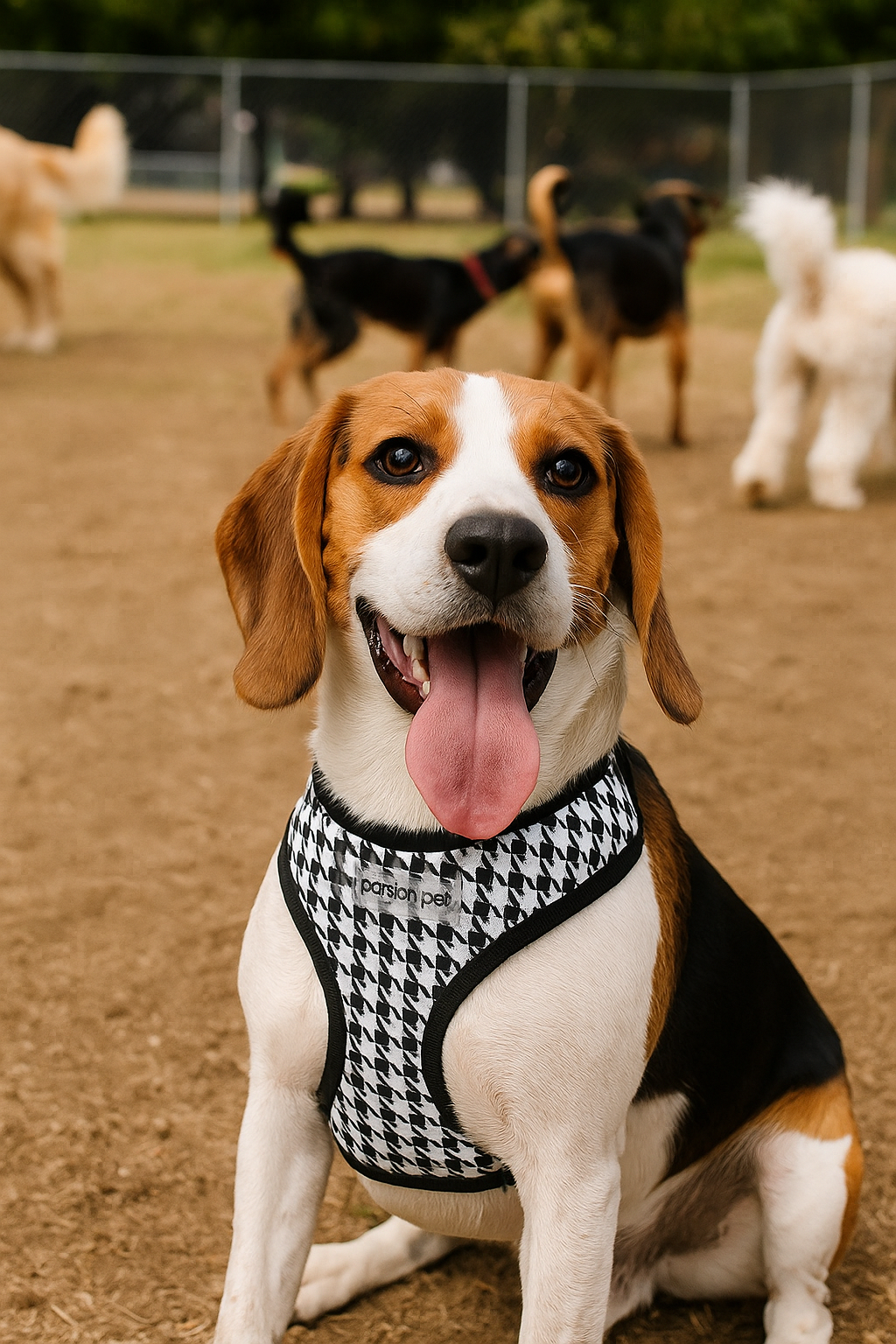 Freedom H. - Black Houndstooth