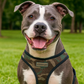 Freedom Harness - Camo