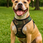 Freedom Harness - Camo