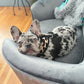 Freedom Harness - Leopard