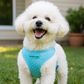 Freedom Harness - Polka Dot Blue