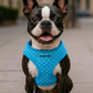 Freedom Harness - Polka Dot Blue