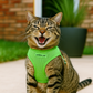 Freedom Harness - Neon Green