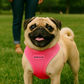 Freedom Harness - Neon Pink