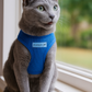 Freedom Harness - Neon Blue