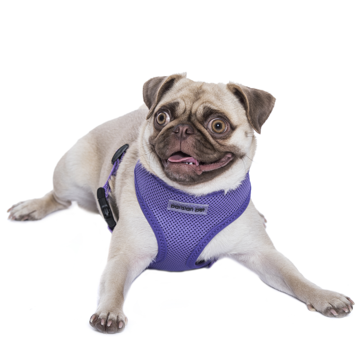 Freedom Harness - Lilac
