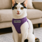 Freedom Harness - Lilac