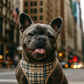 Freedom Harness, Khaki Plaid