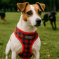 Freedom Harness Scottish Red/Blue