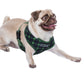 Freedom Harness Scottish Green/Blue