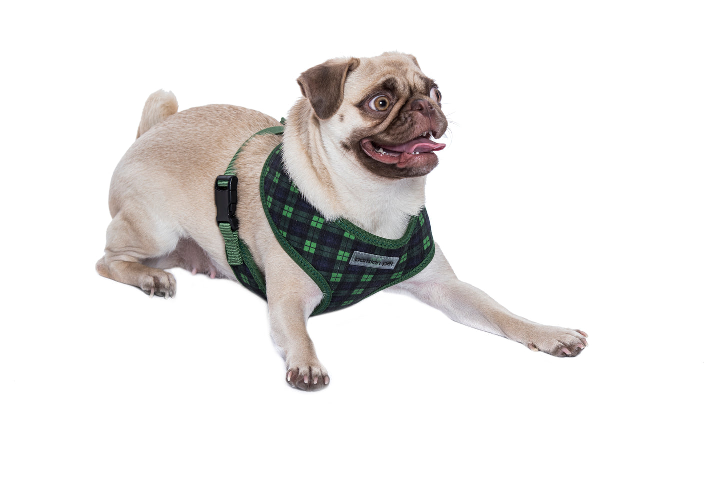 Freedom Harness Scottish Green/Blue