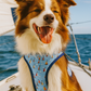 Freedom Harness - Sail Boats