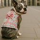 Spring Blossoms Harness Dress