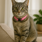 Nylon Collar - Light Pink