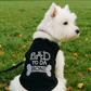 Bad to da Bone