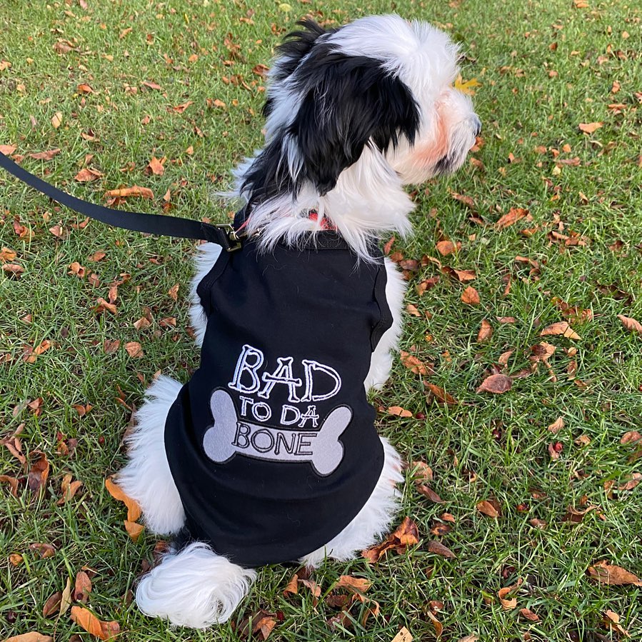 Bad to da Bone
