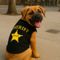 Sheriff