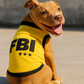 FBI