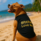 Bitches Love Me