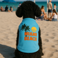 Miami Beach