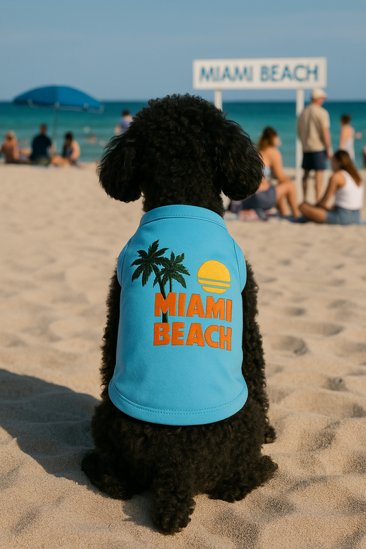 Miami Beach