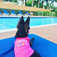 Miami Poochie